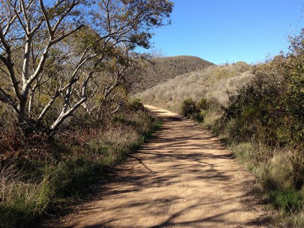 Montana de Oro State Park (SP) (12/31/2015 - Credits: "Islay Creek Trail" by Joyce Cory (CC BY 2.0)[https://creativecommons.org/licenses/by/2.0/legalcode]https://www.flickr.com/photos/docentjoyce/)