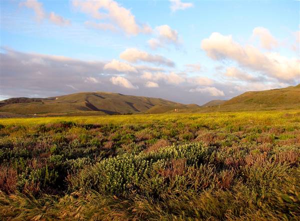 Montana de Oro State Park (SP) (5/22/2006 - Credits: "Montana de oro" by Flickr User: Emdot (CC BY-NC-ND 2.0)[https://creativecommons.org/licenses/by-nc-nd/2.0/legalcode]https://www.flickr.com/photos/emdot/)