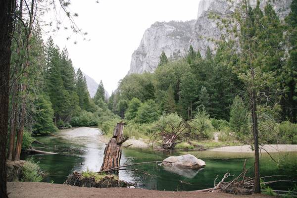 Sequoia and Kings Canyon National Parks & Crystal Cave (8/3/2014 - Credits: "IMG_5386" by Wen Zeng (CC BY 2.0)[https://creativecommons.org/licenses/by/2.0/legalcode]https://www.flickr.com/photos/wenthevegan/)
