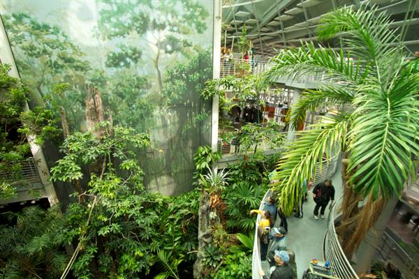 California Academy of Sciences (6/28/2014 - Credits: Photograph Courtesy of Visit California)