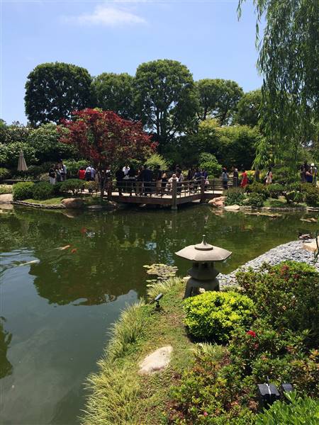 Earl Burns Miller Japanese Garden - California State University Long Beach - CSULB (5/15/2016 - Credits: "Untitled" by Sergei Gussev (CC BY 2.0)[https://creativecommons.org/licenses/by/2.0/legalcode]https://www.flickr.com/photos/sergeigussev/)