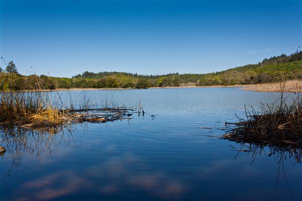 Trione-Annadel State Park (SP) (3/22/2014 - Credits: "Lake Ilsanjo in Annadel State Park" by Harminder Dhesi (CC BY-ND 2.0)[https://creativecommons.org/licenses/by-nd/2.0/legalcode]https://www.flickr.com/photos/harmyd/)