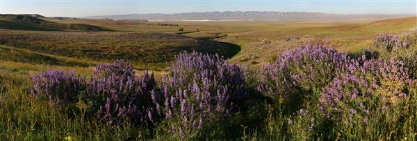 Carrizo Plain National Monument (4/10/2008 - Credits: "Carrizo Plain NM" by Bob Wick, BLM (CC BY 2.0)[https://creativecommons.org/licenses/by/2.0/legalcode]https://www.flickr.com/photos/mypubliclands/)