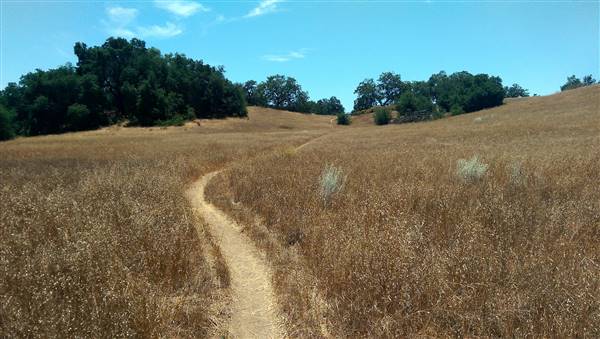 Santa Rosa Plateau Ecological Reserve - Riverside County & California Department of Fish & Wildlife (CDFW) (7/26/2014 - Credits: "Santa Rosa Plateau Ecological Reserve" by Roy Randall (CC BY-NC-ND 2.0)[https://creativecommons.org/licenses/by-nc-nd/2.0/legalcode]https://www.flickr.com/photos/zeroy/)