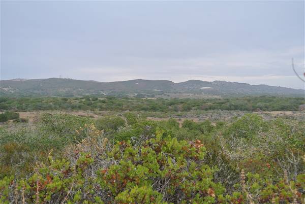 Burton Mesa Ecological Reserve - California Department of Fish & Wildlife (CDFW) (7/14/2014 - Credits: "Burton Mesa 126" by Janice Mackey for CDFW (CC BY 2.0)[https://creativecommons.org/licenses/by/2.0/legalcode] https://www.flickr.com/photos/californiadfg/)