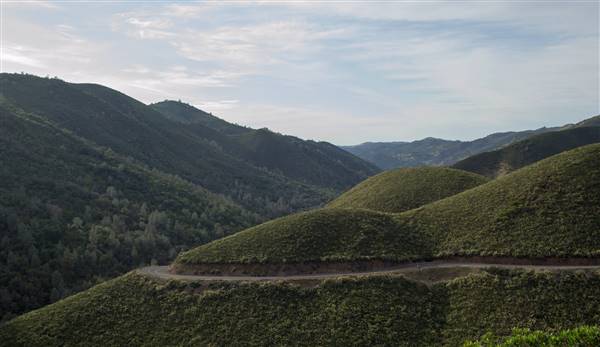 Highway 49 - The Golden Chain Highway (5/3/2016 - Credits: "CA 49 Coulterville (#0532)" By Don Barrett (CC BY-NC-ND 2.0)[https://creativecommons.org/licenses/by-nc-nd/2.0/legalcode] https://www.flickr.com/photos/donbrr/)