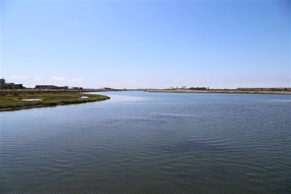 Bolsa Chica Ecological Reserve - California Department of Fish & Wildlife (CDFW) (10/18/2016 - Credits: Photo courtesy of Kris Bunting)