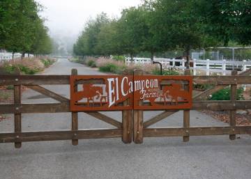 El Campeon Farms - Windy Hill Ranch (10/21/2016)