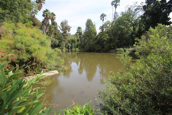 Los Angeles County Arboretum (11/3/2016 - Credits: Photo courtesy of Kris Bunting)