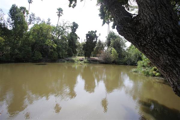 Los Angeles County Arboretum (11/3/2016 - Credits: Photo courtesy of Kris Bunting)