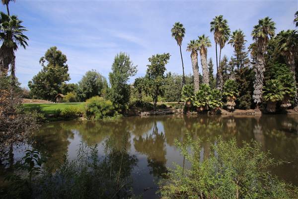 Los Angeles County Arboretum (11/3/2016 - Credits: Photo courtesy of Kris Bunting)