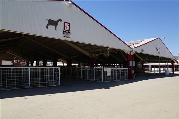 Kern County Fair - 15th DAA - Various Barn and Livestock Areas (11/7/2016 - Credits: Barns & Livestock Area - Photo courtesy of Kern County Fair)