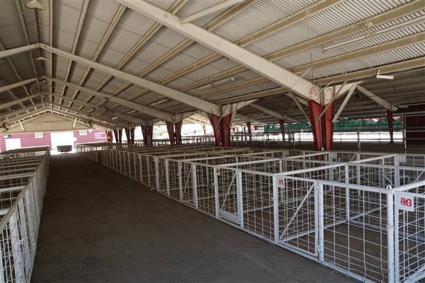 Kern County Fair - 15th DAA - Various Barn and Livestock Areas (11/7/2016 - Credits: Barns & Livestock Area - Photo courtesy of Kern County Fair)