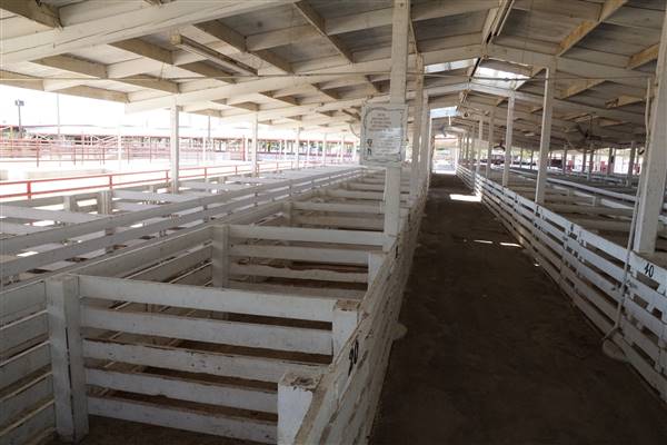 Kern County Fair - 15th DAA - Various Barn and Livestock Areas (11/7/2016 - Credits: Barns & Livestock Area - Photo courtesy of Kern County Fair)