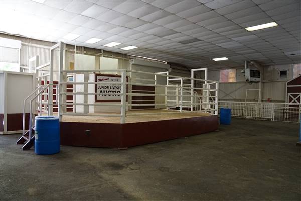 Kern County Fair - 15th DAA (11/8/2016 - Credits: Sales Pavilion - Photo Courtesy of Kern County Fair)