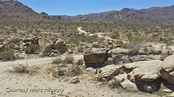 Desert View Conservation Area (4/28/2014 - Credits: Marc Hlavaty)