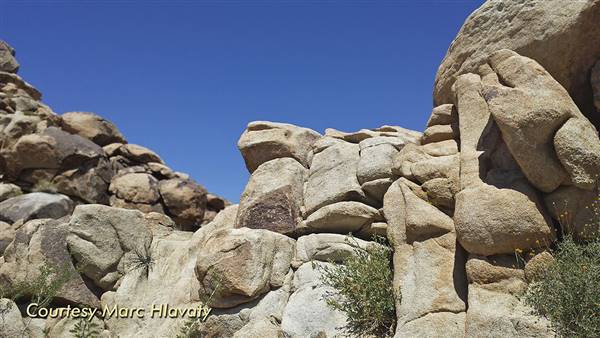 Desert View Conservation Area (4/28/2014 - Credits: Marc Hlavaty)
