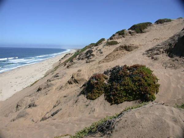 Sand City Beach / Eolian Dunes Preserve - Sand Dunes (6/28/2017)