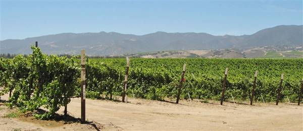Joyce Winery (fka Ventana Vineyards) (6/28/2017)