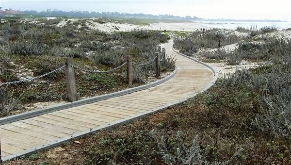 Asilomar State Beach and Conference Grounds (6/28/2017)