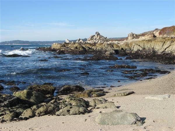 Carmel River State Beach (SB) (6/28/2017)