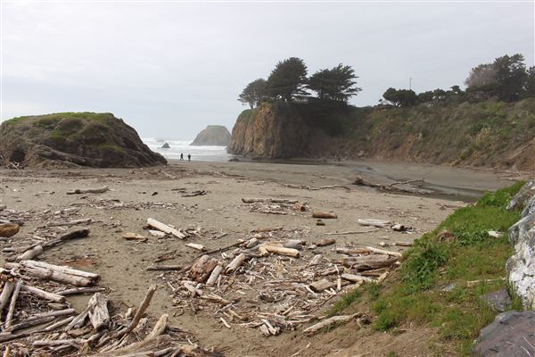 Seaside Beach - Seaside Creek (3/29/2017 - Credits: Kellen Lim)