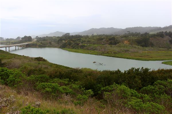 Ten Mile Estuary State Marine Conservation Area - Ten Mile River (3/29/2017 - Credits: Kellen Lim)