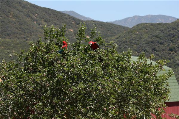 Rancho Grande (3/29/2018)