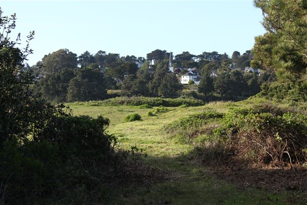 Mendocino Bay Overlook (Public Access Easement) (4/18/2018 - Credits: Kellen Lim)