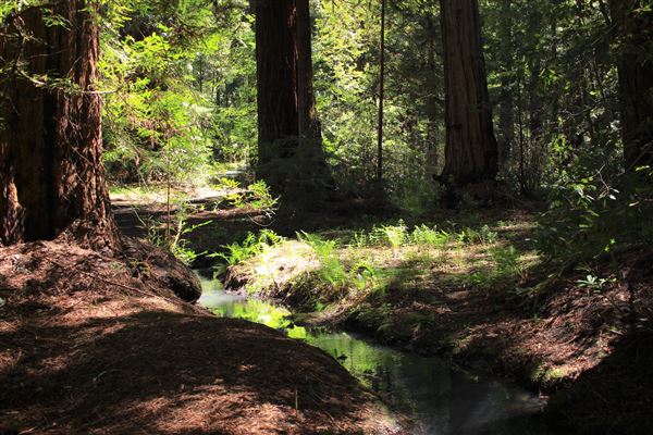 Faulkner County Park (4/19/2018 - Credits: Kellen Lim)