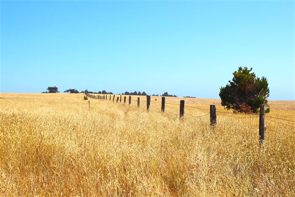 Van Damme State Park (SP) / Beach / Pygmy Forest / Fern Canyon Trail / Spring Ranch Trail - Spring Ranch Trail (7/9/2017 - Credits: Kellen Lim)