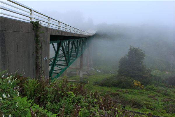 Salmon Creek Bridge (5/8/2018 - Credits: Kellen Lim)