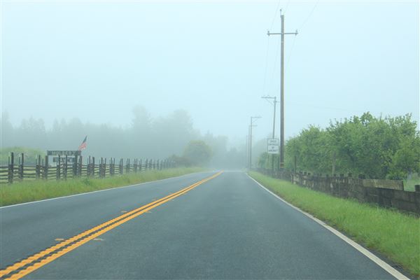 Highway 128 - Anderson Valley corridor - Highway 128 - Near Gowan's Oak Tree Farm Stand (morning mist) (looking southward) (4/14/2017 - Credits: Kellen Lim)