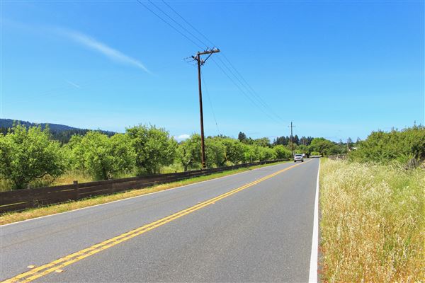 Highway 128 - Anderson Valley corridor - Highway 128 - Near Gowan's Oak Tree Farm Stand (5/15/2018 - Credits: Kellen Lim)