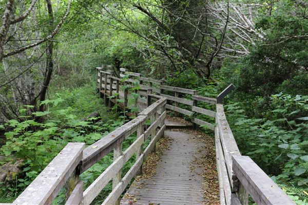 Jug Handle State Natural Reserve (SNR) (7/8/2017 - Credits: Kellen Lim)
