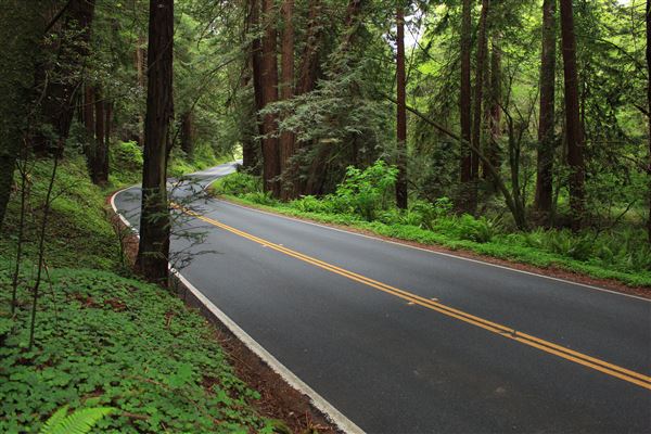 Navarro River Redwoods State Park (SP) (5/15/2018 - Credits: Kellen Lim)