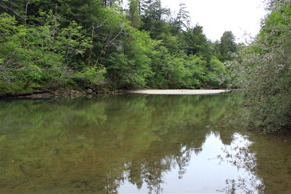 Navarro River - located in Hendy Woods State Park (SP) (5/15/2018 - Credits: Kellen Lim)
