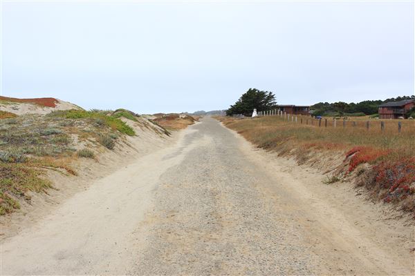 Haul Road Coastal Trail (MacKerricher State Park) (7/16/2018 - Credits: Kellen Lim)