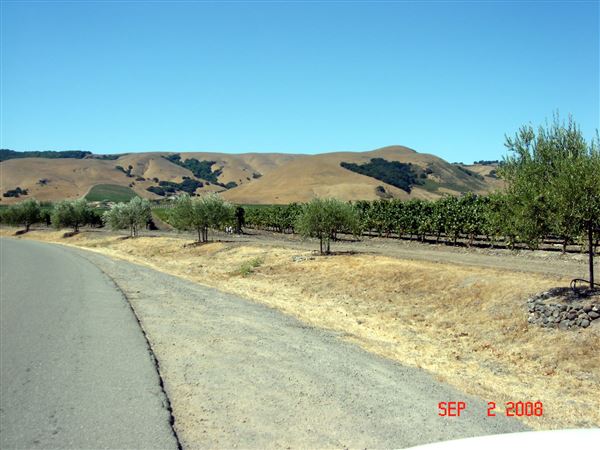 Gloria Ferrar Champagne Caves (7/25/2018)