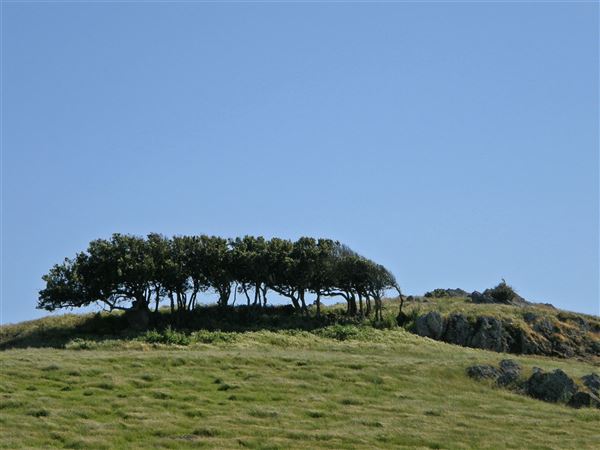 J G Angus Ranch (7/25/2018)