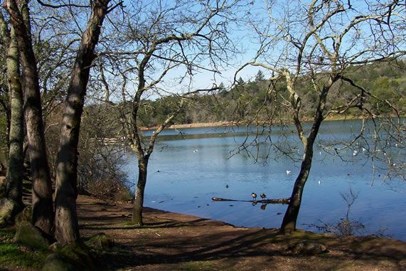 Lake Ralphine (7/25/2018)