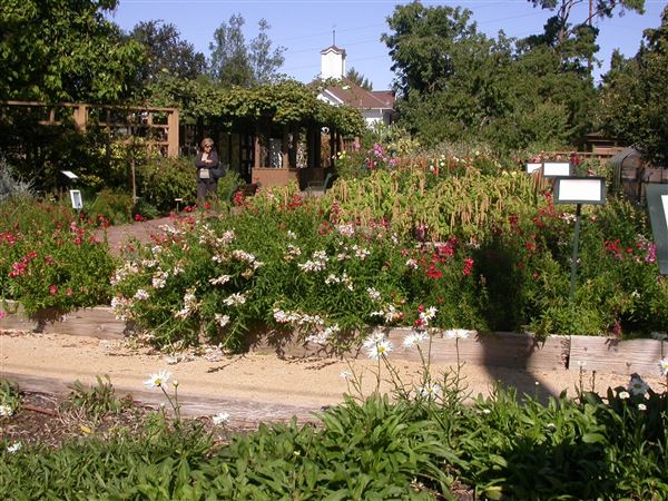 Luther Burbank Home & Gardens (7/25/2018)