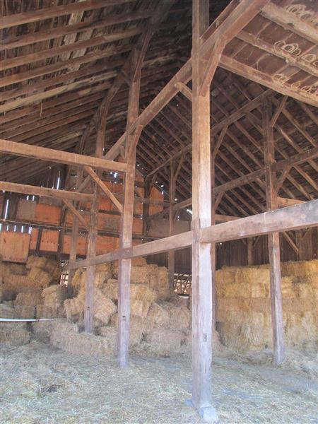 Maffia Dairy Ranch (7/25/2018)