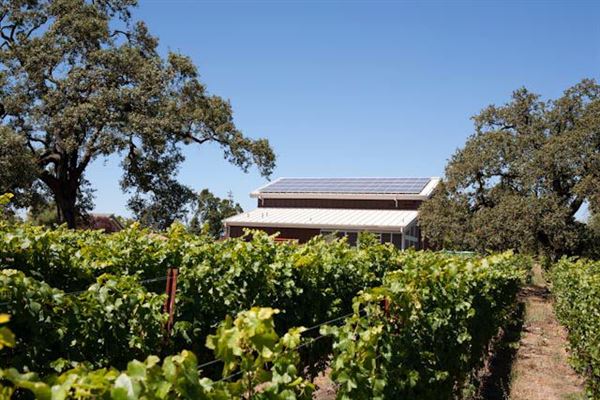 Olivet Grange Vineyard (7/25/2018)