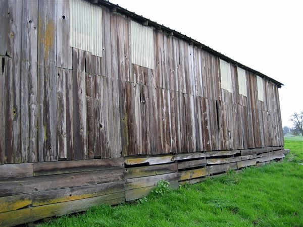 Tom Scott Ranch (7/25/2018)