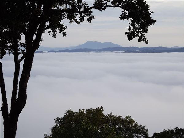 Sonoma Mountain Vista Estate (7/25/2018)