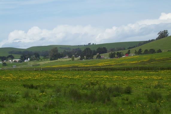 Tomales Rd (7/25/2018)