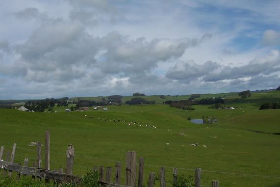 Tomales Rd (7/25/2018)