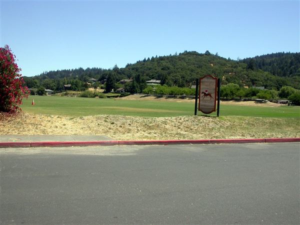 Wine Country Polo Club / Santa Rosa Polo Club (7/25/2018)