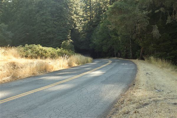 Greenwood Road - Greenwood Road/132 County Road, looking eastward (7/30/2018 - Credits: Kellen Lim)